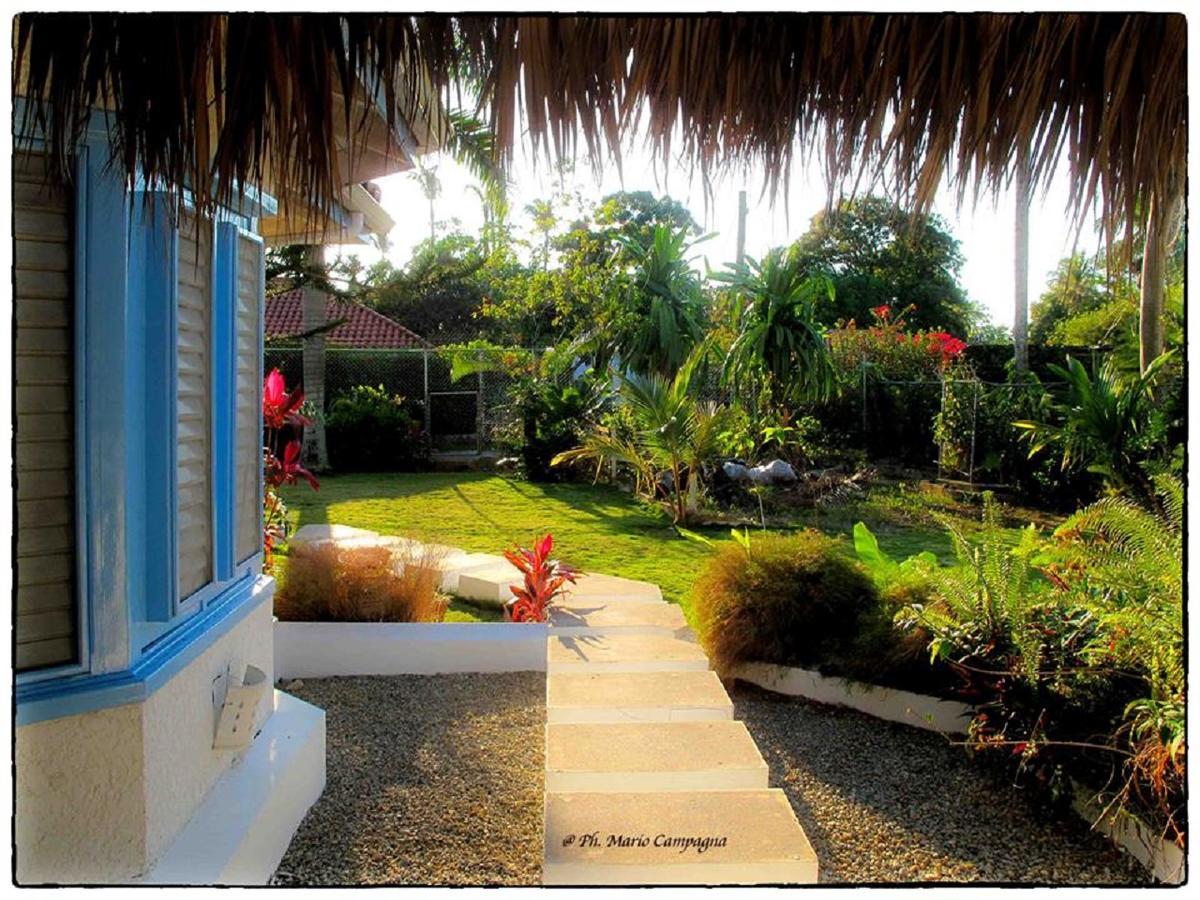 Casa Gio Otel Las Terrenas Dış mekan fotoğraf